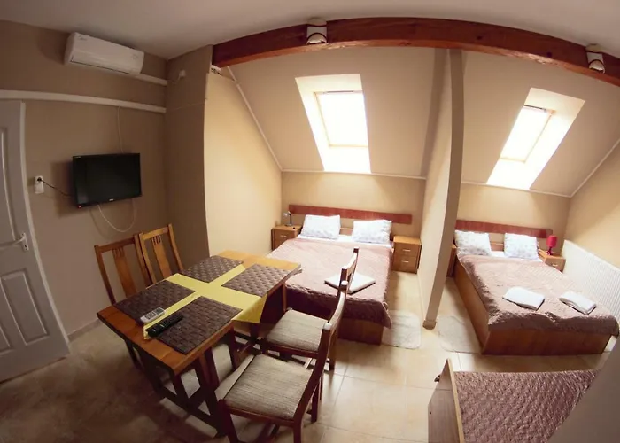 Mueller's 2 希欧福克