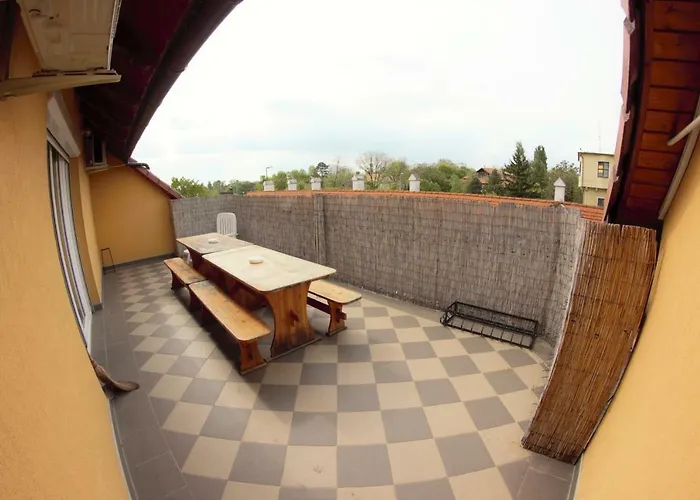 Mueller's 2 希欧福克